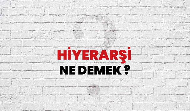 Hiyerarşi Ne Demek?