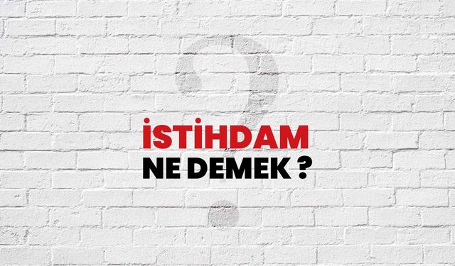 İstihdam Ne Demek?