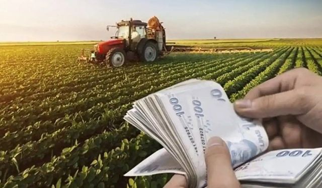 Çiftçilerin Yüzü Güldü: Destek Ödemesi Bugün Hesaplarda!
