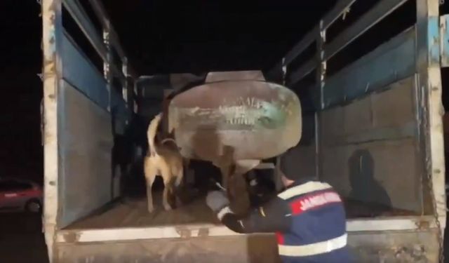 Bakan Yerlikaya açıkladı: Şanlıurfa’da 25 gözaltı