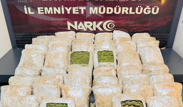 Batman'da uyuşturucu operasyonu: Tırda 27 kilogram skunk ele geçirildi