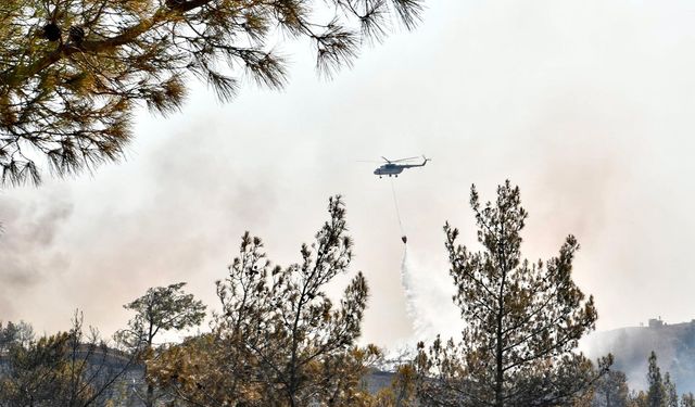 İzmir'de orman yangınlarıyla mücadele sürüyor