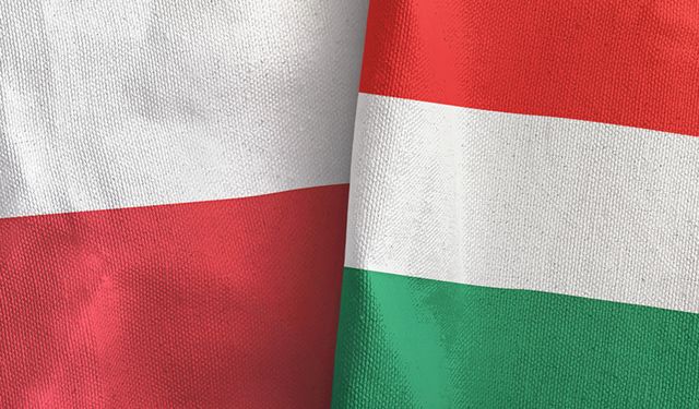Polonya ile Macaristan arasında diplomatik kriz devam ediyor