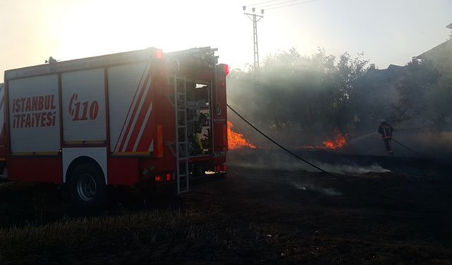 Silivri'de ormanlık alanda yangın