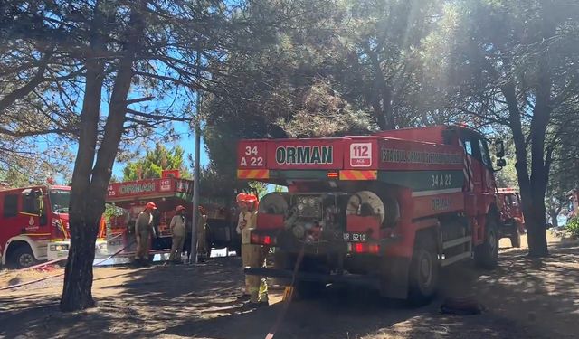 Sultangazi Kent Ormanı'ndaki yangın kontrol altına alındı