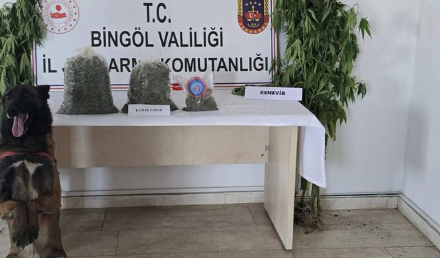 Bingöl’de uyuşturucu operasyonunda kenevir ve esrar ele geçirildi