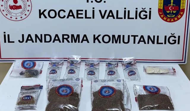 Kocaeli'de 1 kilo 873 gram bonzai ele geçirildi
