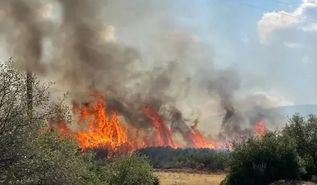Mersin ve Hatay’da orman yangınları devam ediyor: 2 bin 966 kişi tahliye edildi