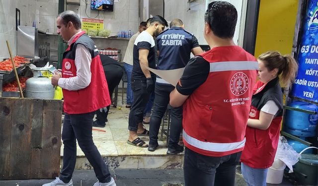 Şanlıurfa’da gıda işletmelerine rehberlik denetimleri