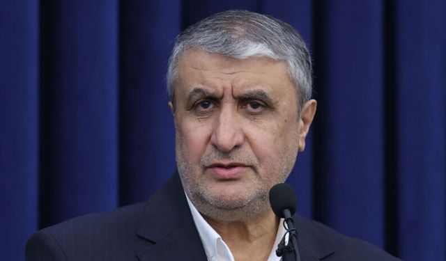 İran: UAEA, hegemonik düzenin etkisi altında
