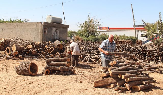 Oduncularda kış hazırlıkları başladı 