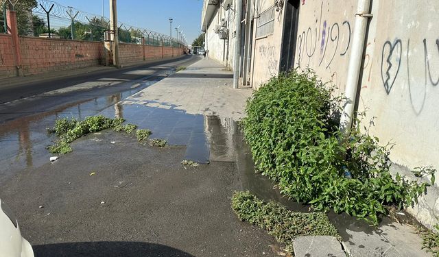 Batman'da patlayan içme suyu boruları günlerdir onarılmıyor