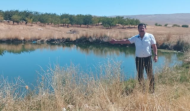 Mahalle sakinleri zehir saçan gölete acil çare bulunmasını istiyor