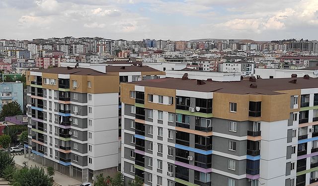 TEBD Batman İl Başkanı Değirmenci: Kira artışlarına hükümet acilen müdahale etmeli