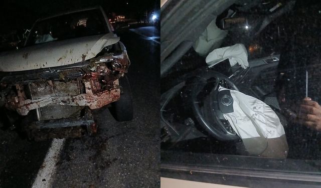 Araç koyun sürüsüne daldı 30 hayvan telef oldu