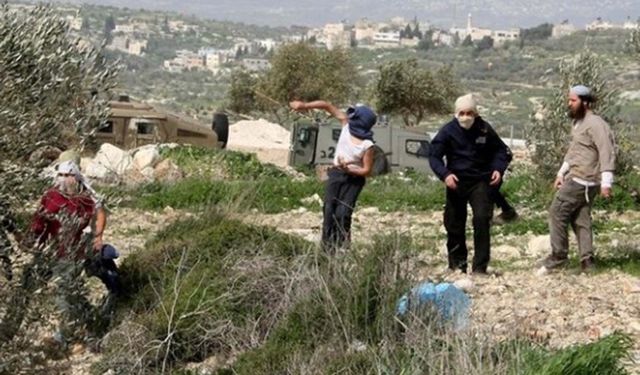 İşgalciler Ramallah'ta zeytin toplayan Filistinlilere saldırdı