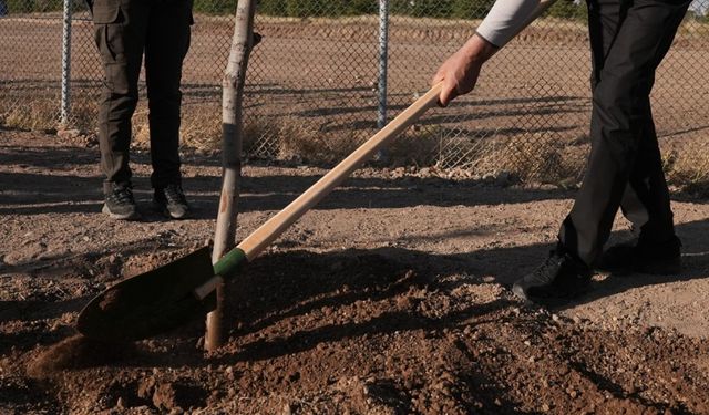 OGM: 30 milyon fidan sahiplenildi