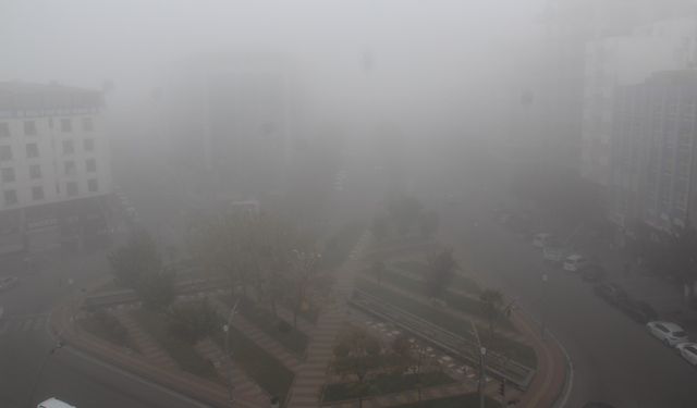 Sürüş eğitmenleri: Sisli havalarda acele etmeyin, mesafenizi koruyun