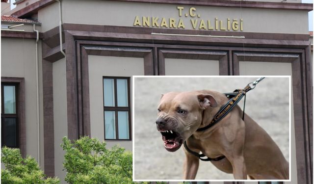 Ankara'da 2 kardeşe saldıran pitbull sahibi gözaltına alındı