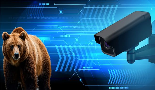 Ayı tehlikesine yapay zekâlı önlem: Yaklaşan ayılar “B Alert” ile anında tespit edilecek