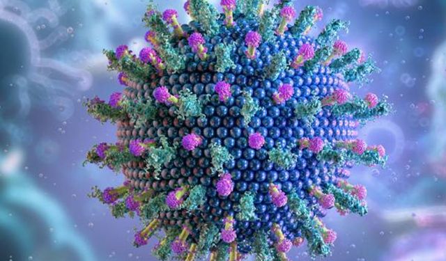 Gıda zehirlenmesi m viral enfeksiyon mu?