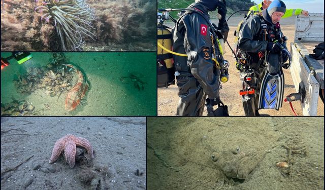 Marmara Denizi’nde hayalet ağ tehdidine karşı kapsamlı araştırma başlatıldı