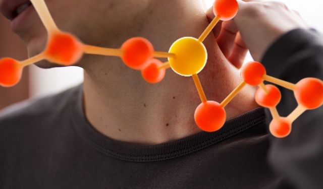 Sedef hastalığı tedavisinde yeni bulgu: Bağışıklık hücrelerinin hareketi