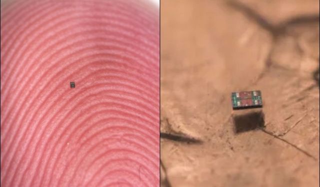 Tuz tanesi kadar robot: Algılıyor, düşünüyor, hareket ediyor