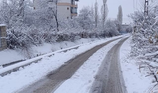 Van’da kar yağışı kenti beyaz örtüyle kapladı