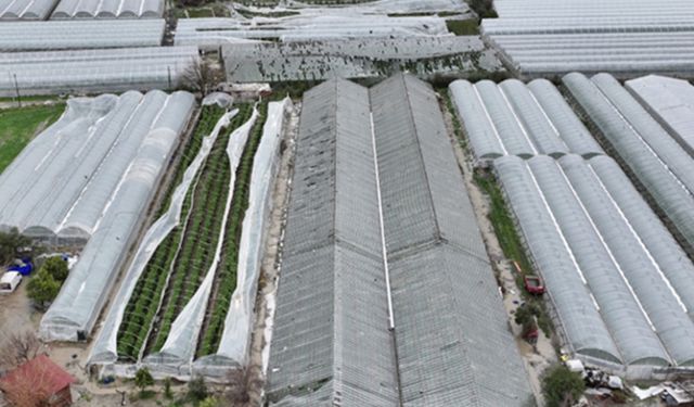 Antalya’da sel ve hortumdan etkilenen üreticiler için hasar tespiti sürüyor