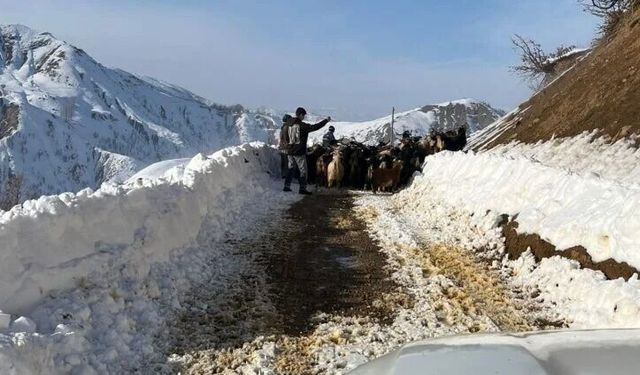 Bingöl Karlıova’da kar yağışı devam ediyor