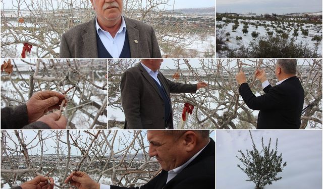 Gaziantep Şehitkamil Ziraat Odası Başkanı Yiğit: Kar yağışı çiftçi için rahmet oldu