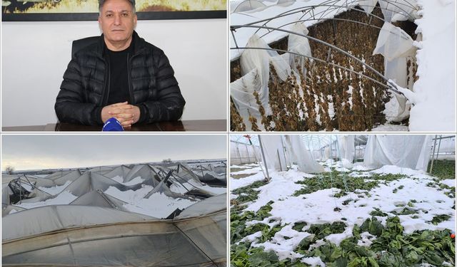Şiddetli kar ve don Batman tarımını vurdu: Tonlarca sebze zarar gördü