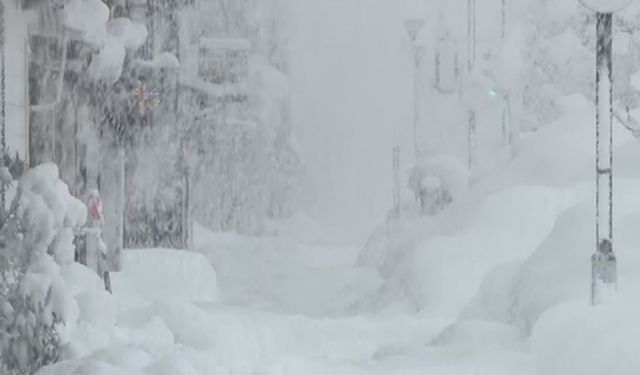 Japonya'da rekor kar yağışı sonrası ölü sayısı artıyor: 30 ölü, en az 290 yaralı 