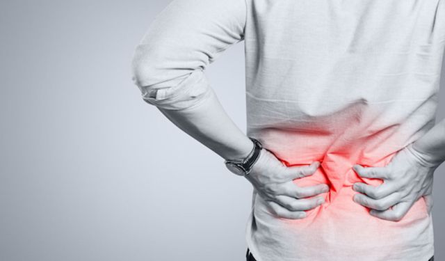 Vücutta en hızlı yaşlanan organ omurga