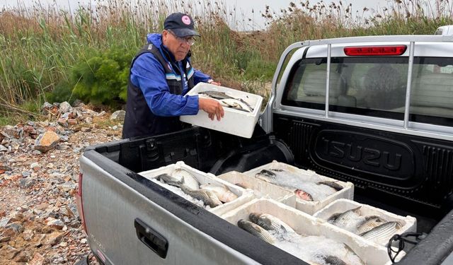 Muğla'da kaçak avlanan 80 kilogram kefal balığına el konuldu