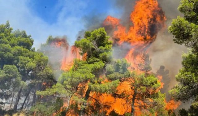 Çiftçi ve Yumaklı'dan orman yangınları için koordinasyon toplantısı