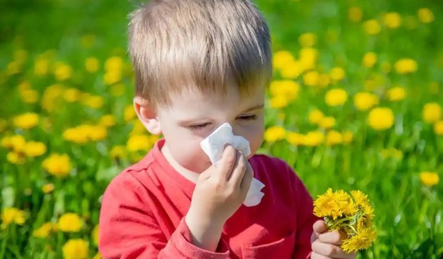 Dr. Sayaca: İklim değişikliği ve hava kirliliği alerjileri tetikliyor