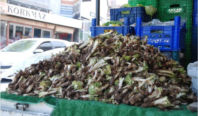 İzmir'de kenger otu tezgâhlarda yerini aldı