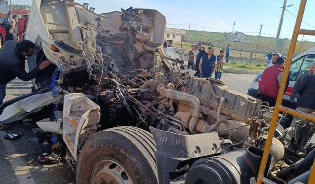 Mardin'de kamyon kaza yaptı: Sürücü hayatını kaybetti