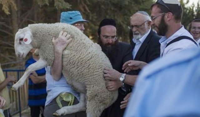 Mescid-i Aksa'da tehlikeli plan: 7 kurban girişimi siyonist projeyi gözler önüne serdi