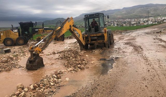 Siirt'te selin ağır bilançosu: Tarım ve hayvancılık zarar gördü