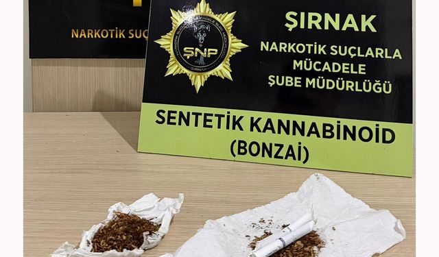 Şırnak'ta 610 milyon TL'lik kaçakçılık operasyonları
