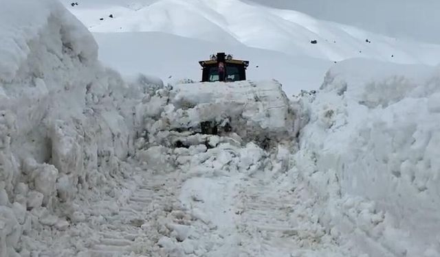 Şırnak'ta kar nedeniyle kapanan köy yolları açılıyor