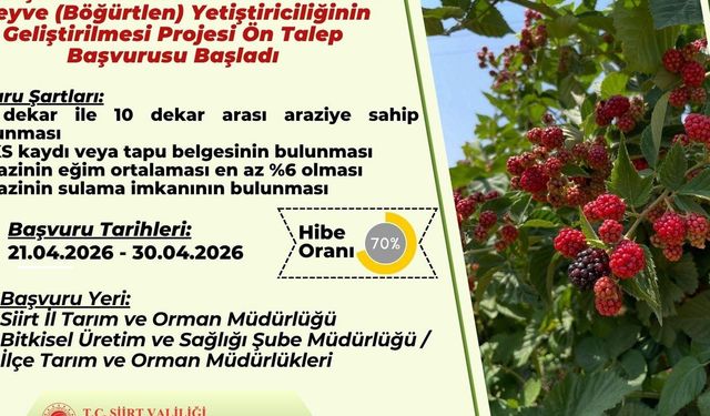 Sözleşmeli böğürtlen üretimi için ön talep başvuruları başladı