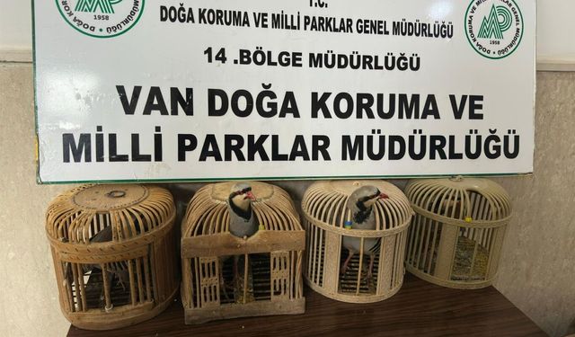 Van'da kafes avcılığı yapan kişiye 86 bin lira ceza kesildi