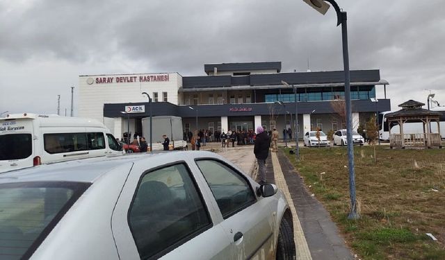 Van'da sokak köpeklerinin saldırısında 5 yaşındaki çocuk hayatını kaybetti