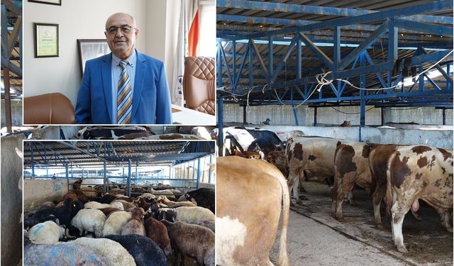 Bursa Kasaplar Odası Başkanı Yıldız: Pazarlarda yeterli sayıda kurbanlık bulunuyor