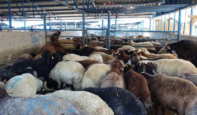 Bursa'da 140 noktada kurban kesimi yapılacak