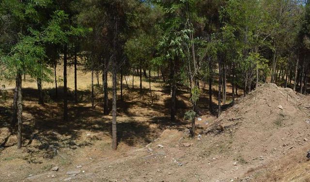 Elazığ'da ormanlık alanlara girişler 30 Eylül'e kadar yasaklandı